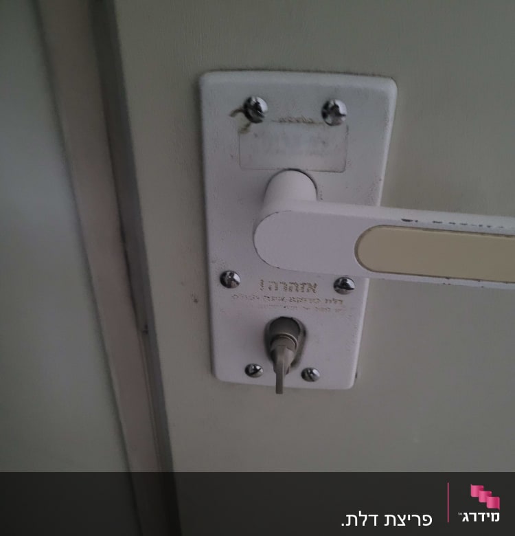 מנעול דלת עם ידית וברגים